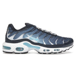 Nike Air Max Plus Dark Obsidian