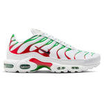 Nike Air Max Plus Italy (39/40/47.5)