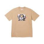 Supreme Skunk Tee Khaki